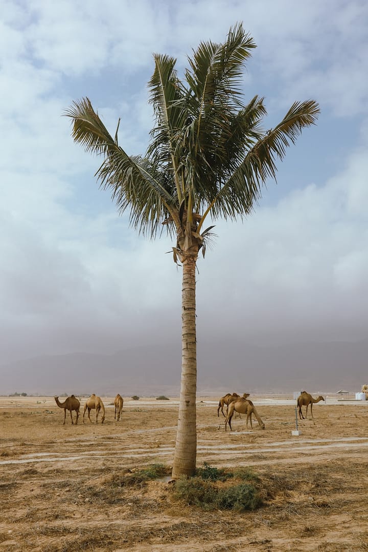 Bahreïn