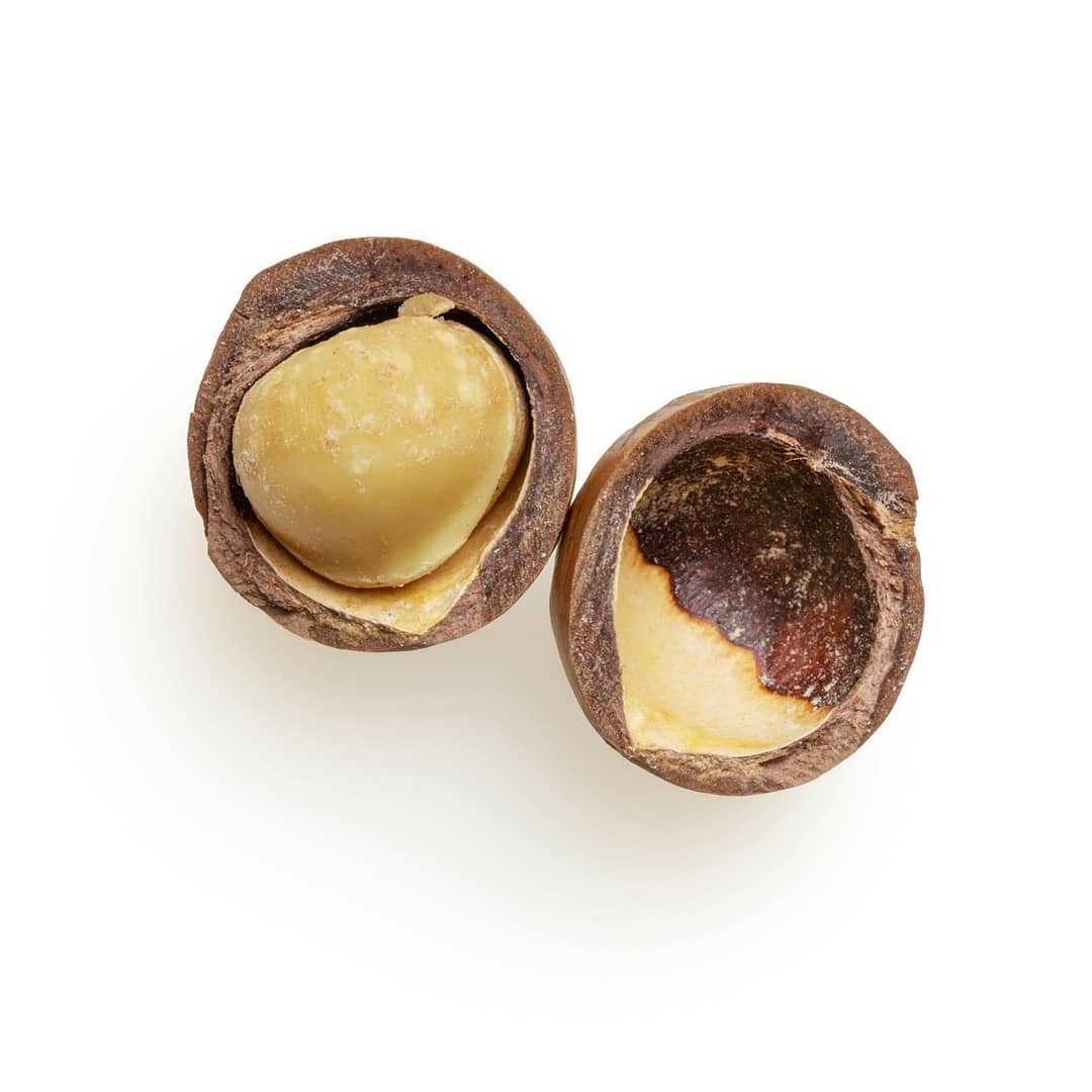 Noix de macadamia : Propriétés et bienfaits
