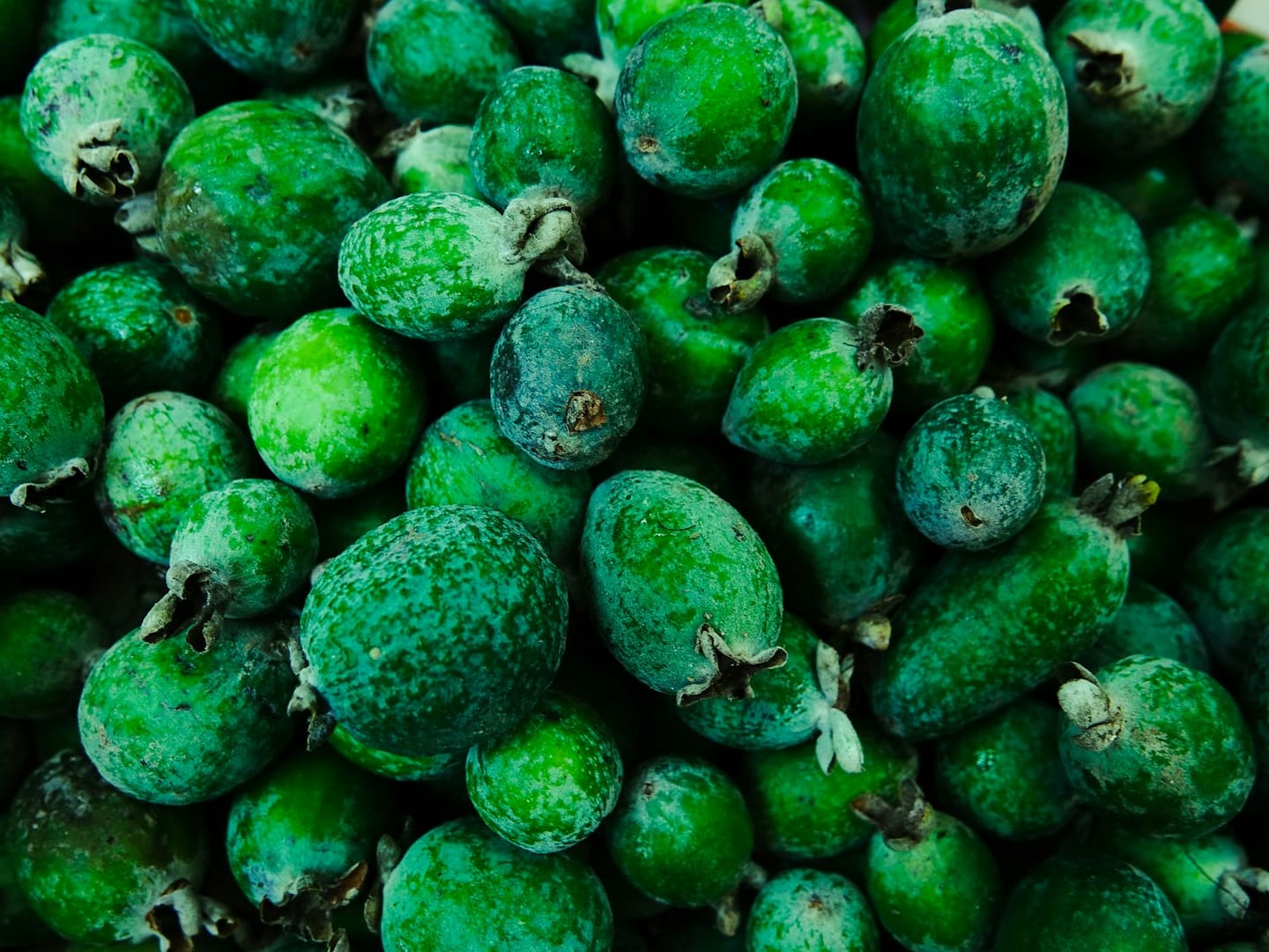 Feijoa : Propriétés et bienfaits