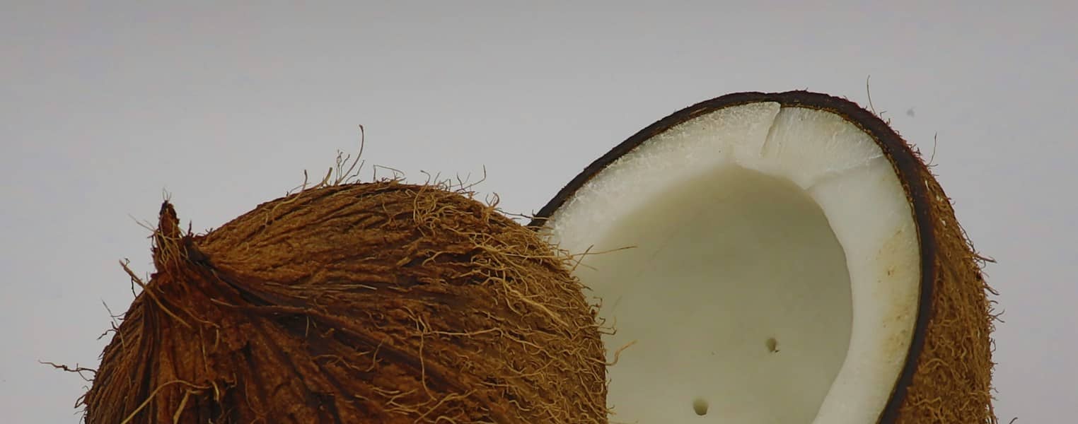 Noix de coco : Propriétés et bienfaits