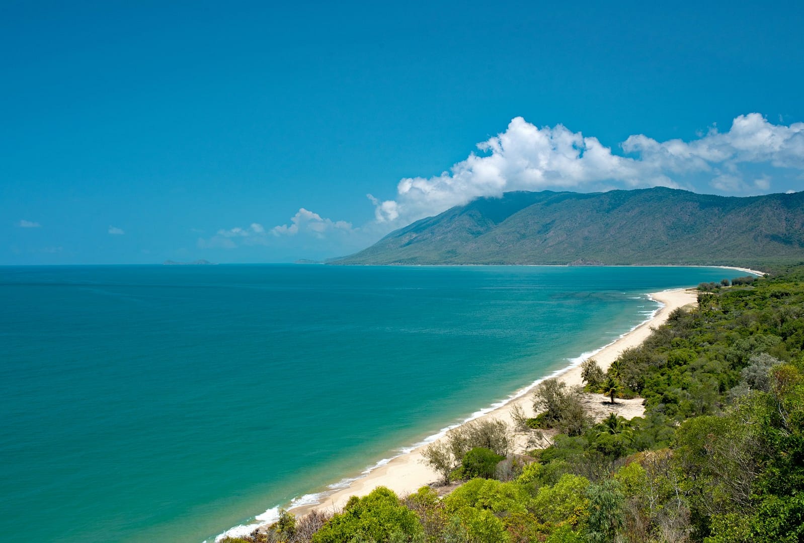 Timor oriental