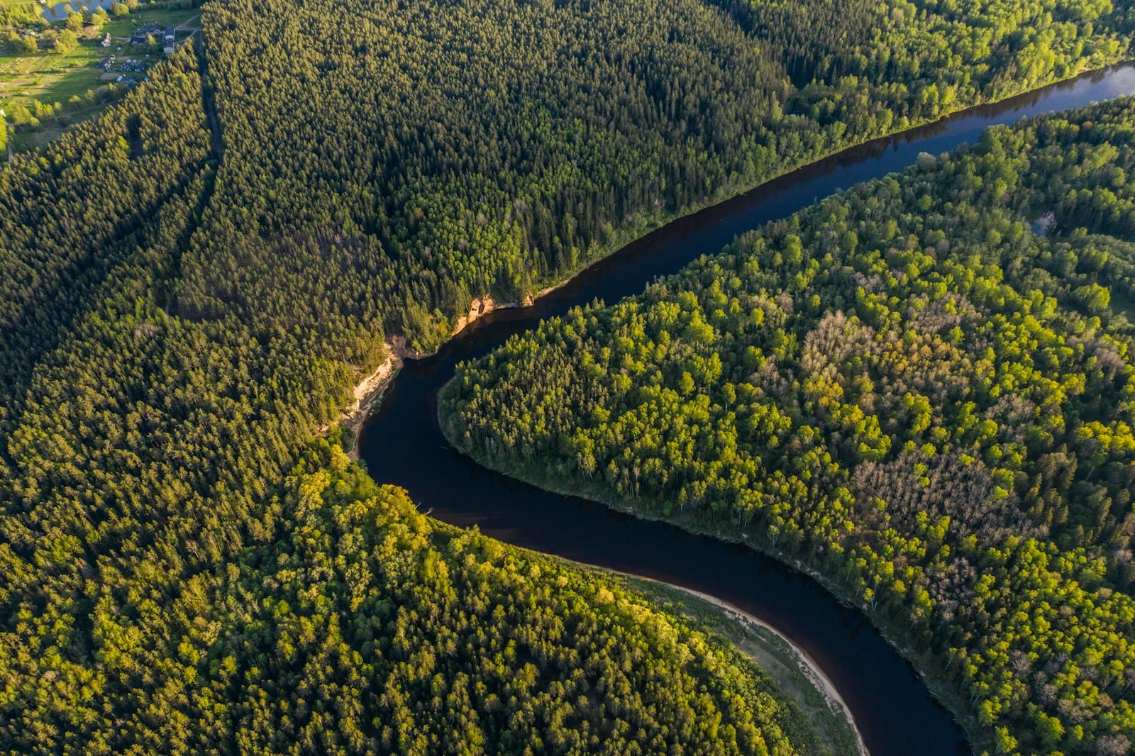 Les plus grandes forêts du monde
