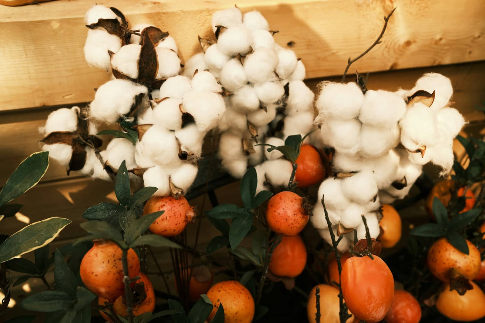 red and white round fruits