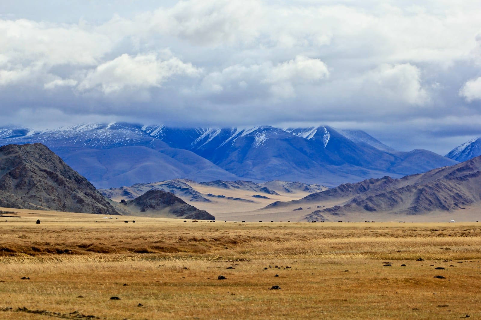 brown grass field near snow covered mountains during daytime