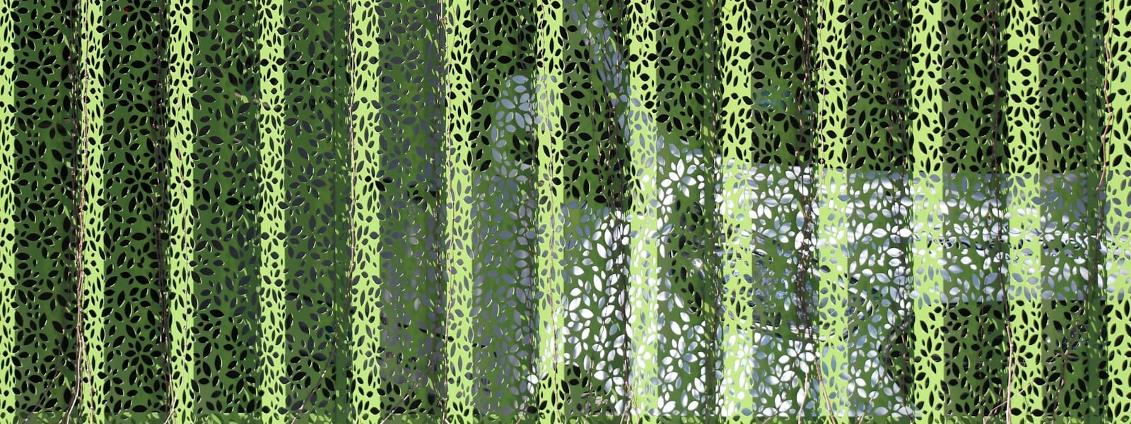 Biomasse