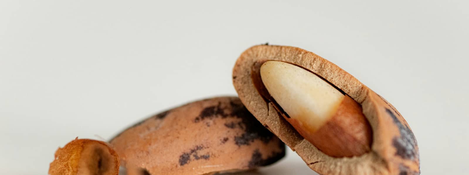 Noix du Brésil : Propriétés et bienfaits