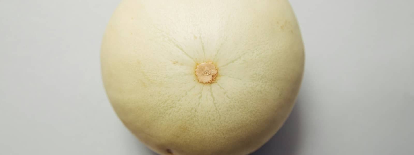 Melon Honeydew (melon blanc) : Propriétés et bienfaits