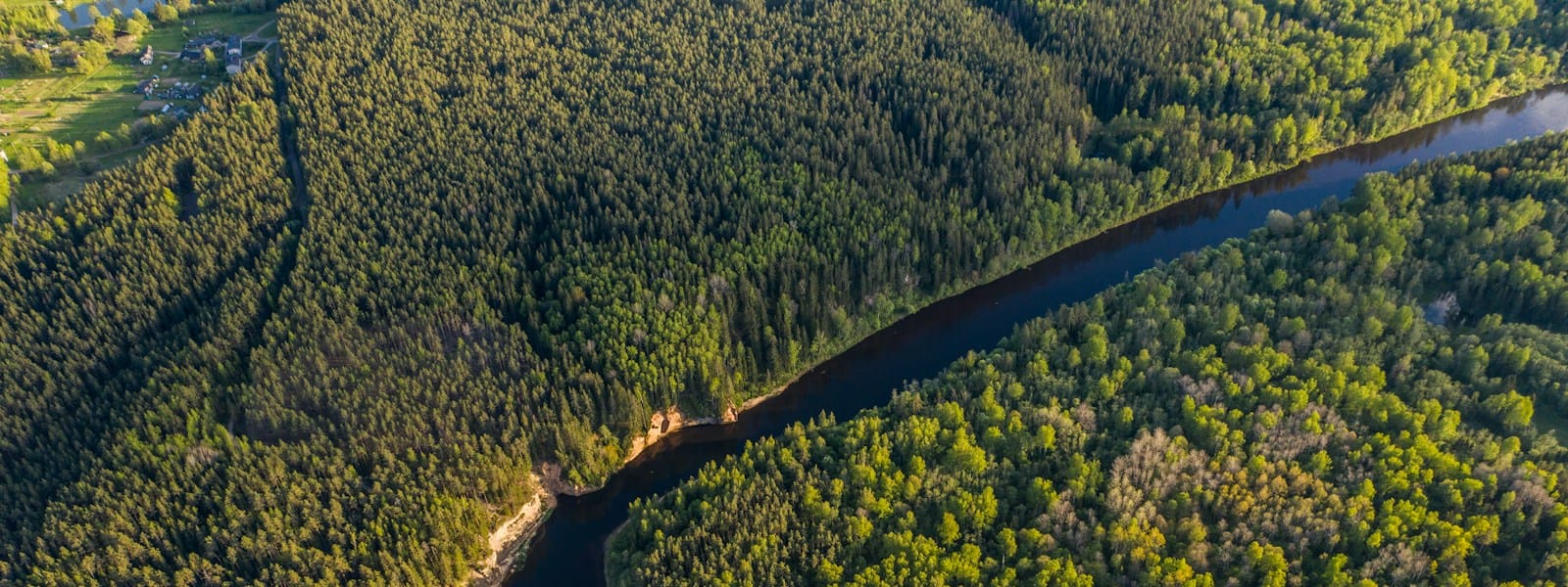 Les plus grandes forêts du monde