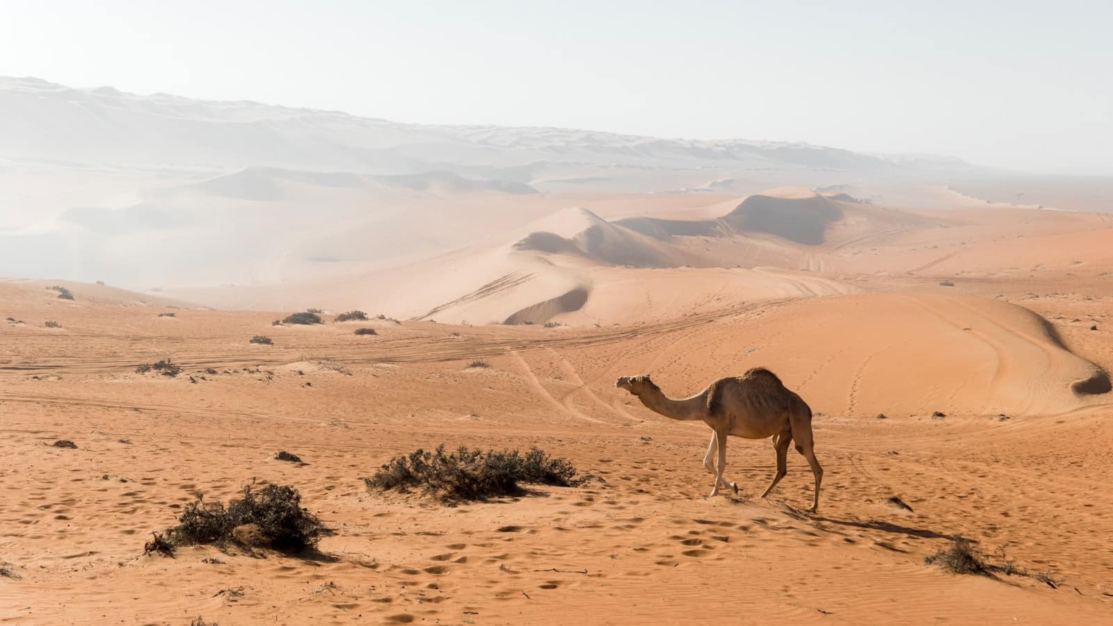 Oman