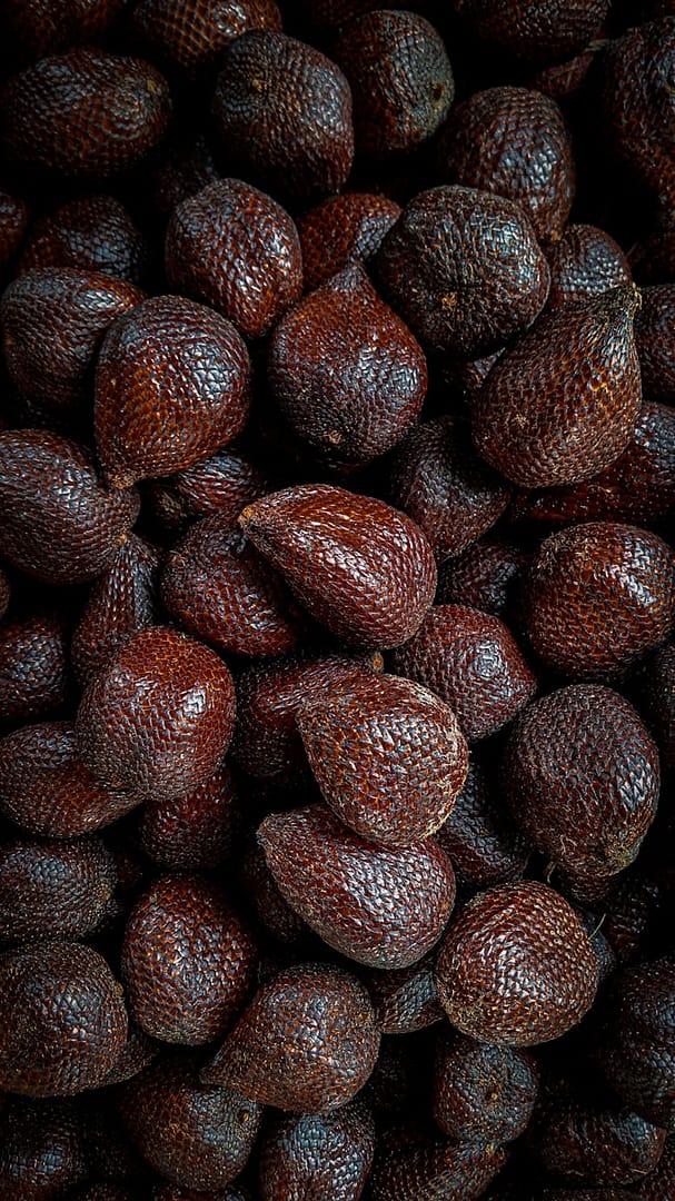 Salak (fruit du serpent)