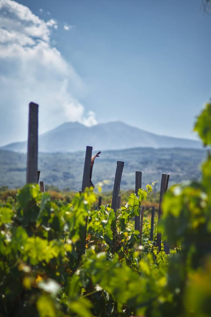 Volcan Etna