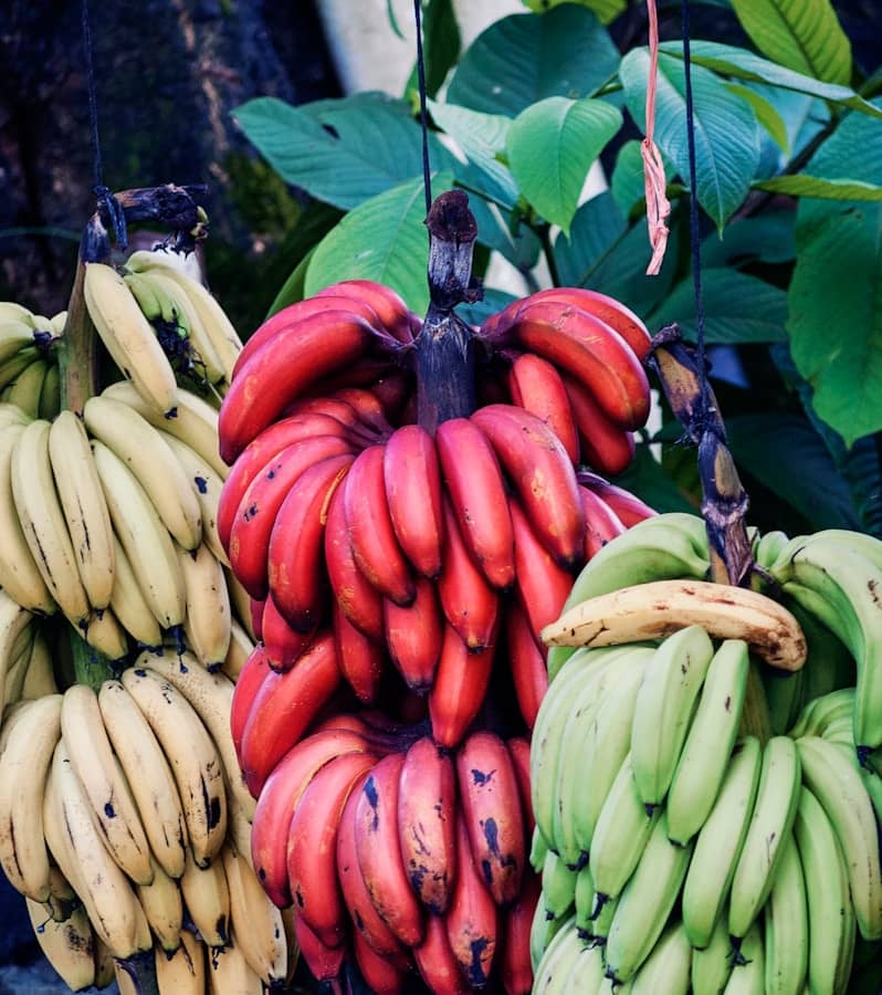Banane : Propriétés et bienfaits