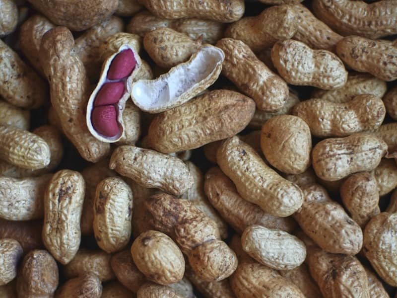 Cacahuète : Propriétés et bienfaits