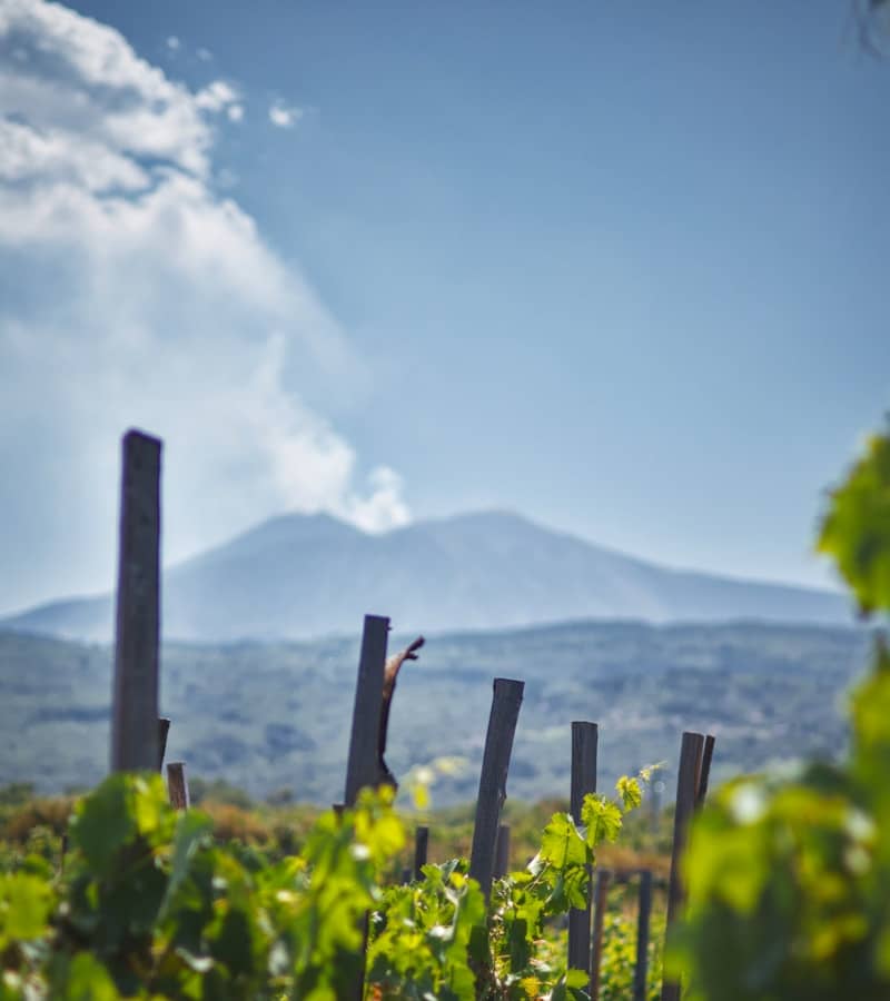 Volcan Etna