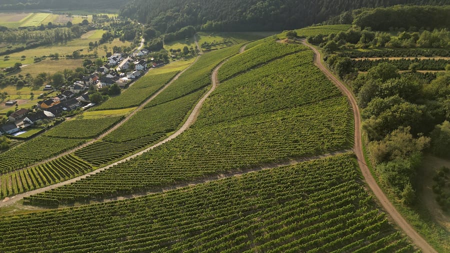 An aerial view of a lush green valley
