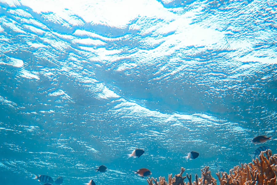 Le rôle des océans dans la régulation du climat