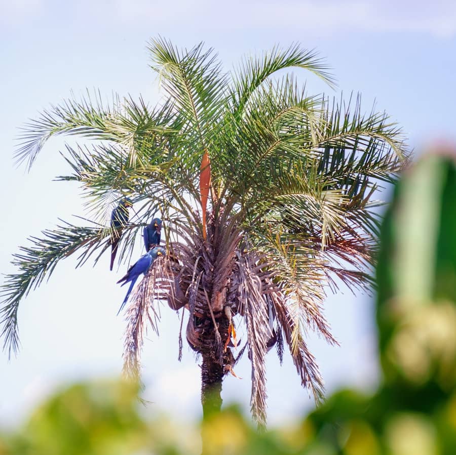 green palm tree under blue sky during daytime