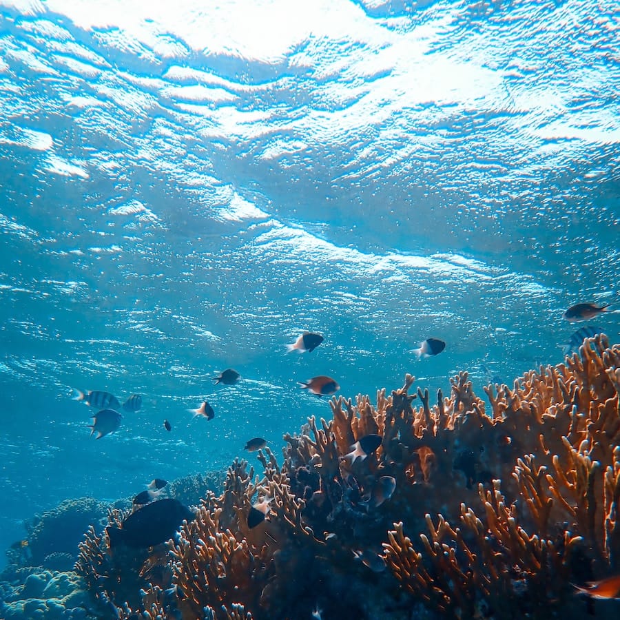 Le rôle des océans dans la régulation du climat