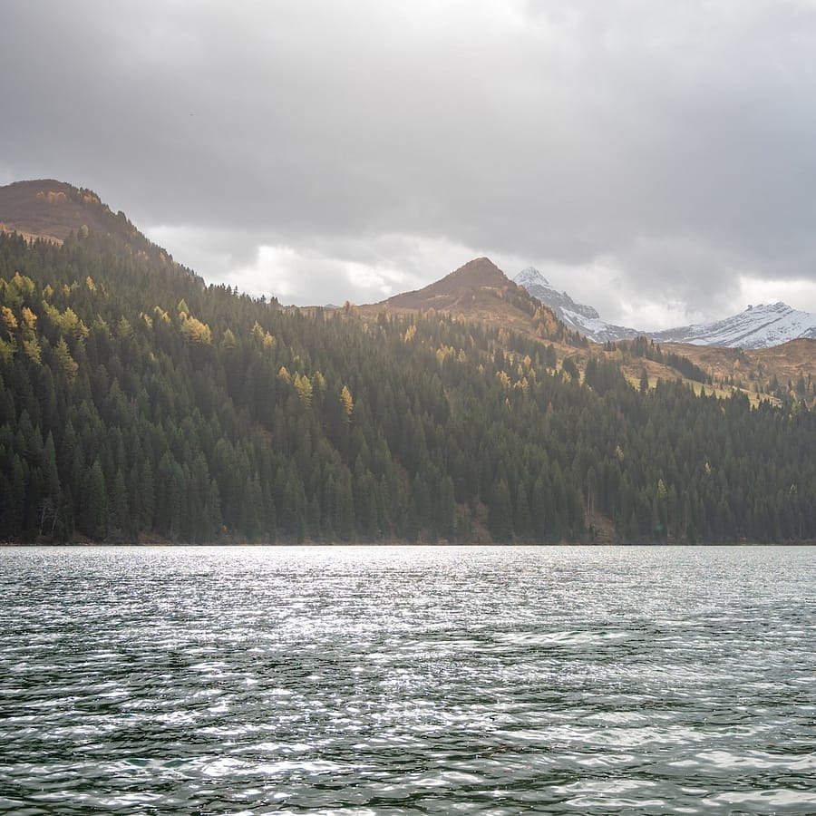 Forêt Boréale de l'Ouest Canadien