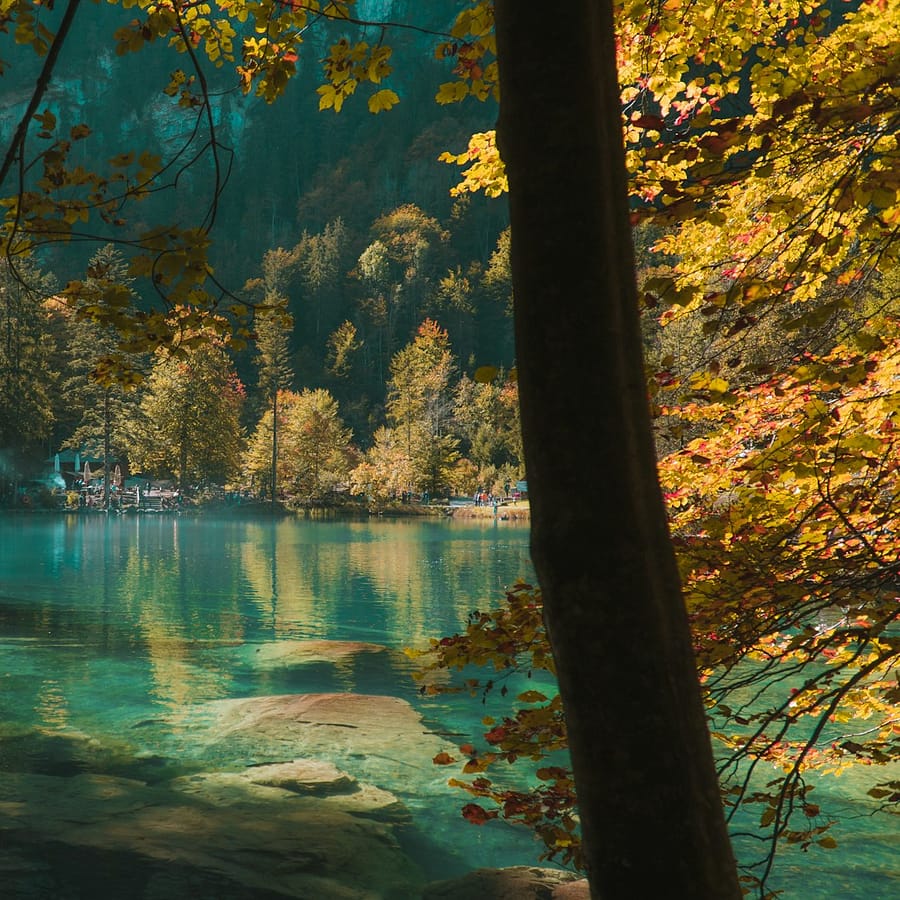 ressources naturelles