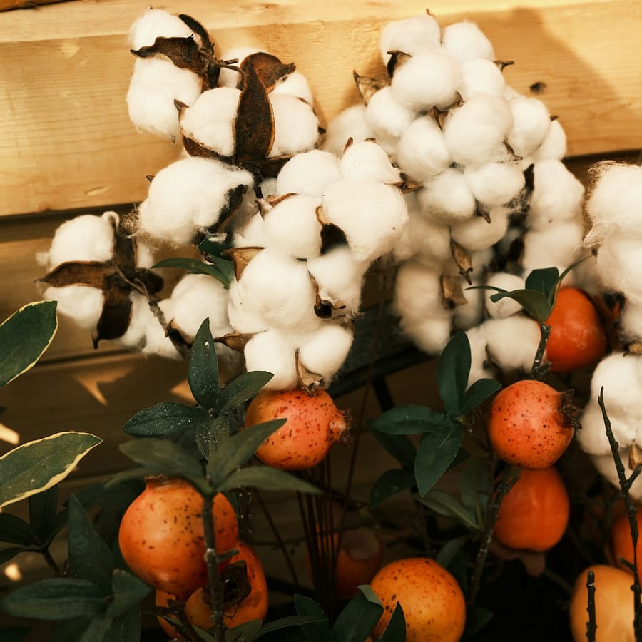red and white round fruits