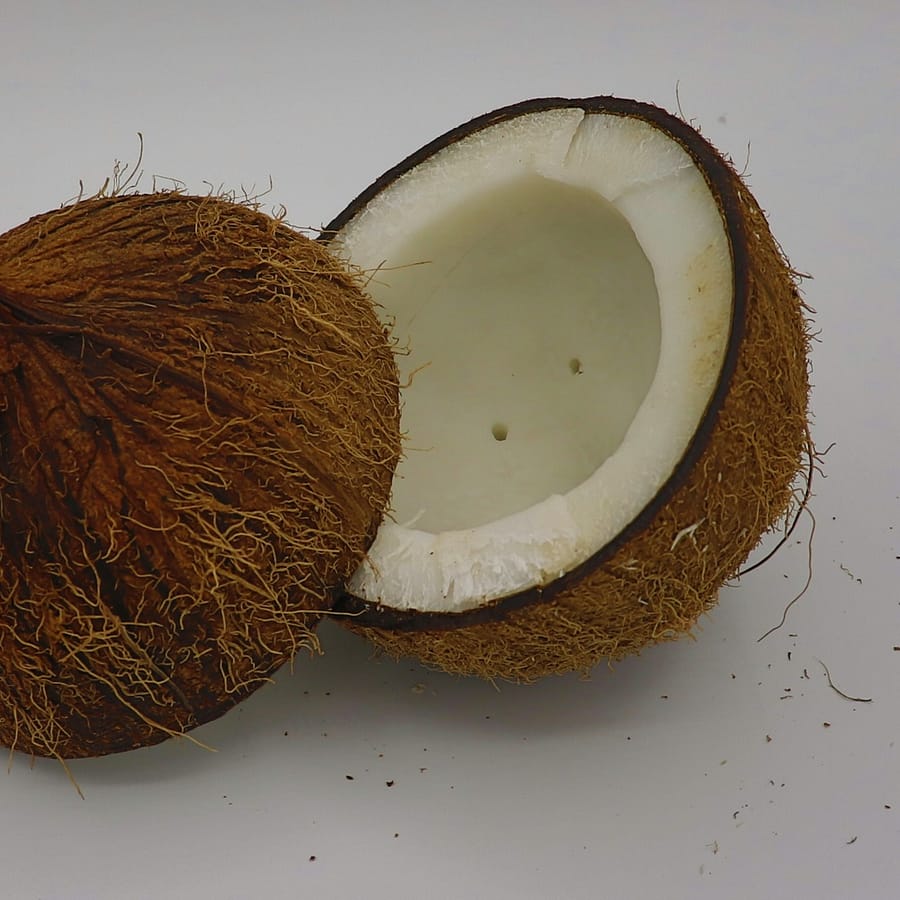 Noix de coco : Propriétés et bienfaits