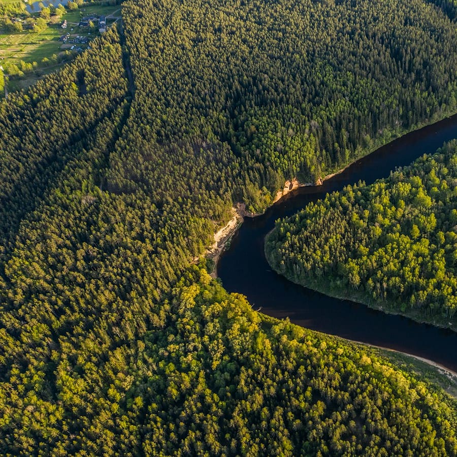 Les plus grandes forêts du monde