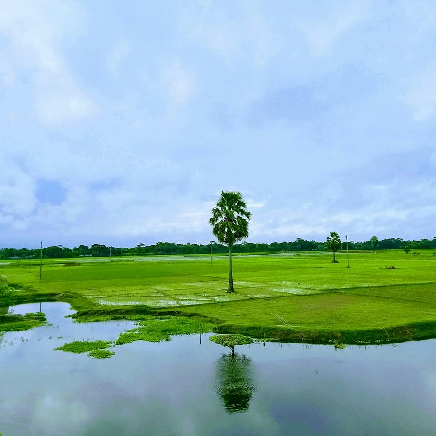 green grass field near lake under white clouds during daytime