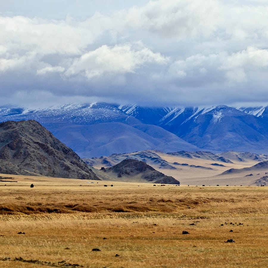 brown grass field near snow covered mountains during daytime