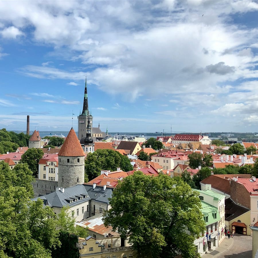 aerial photo of city building