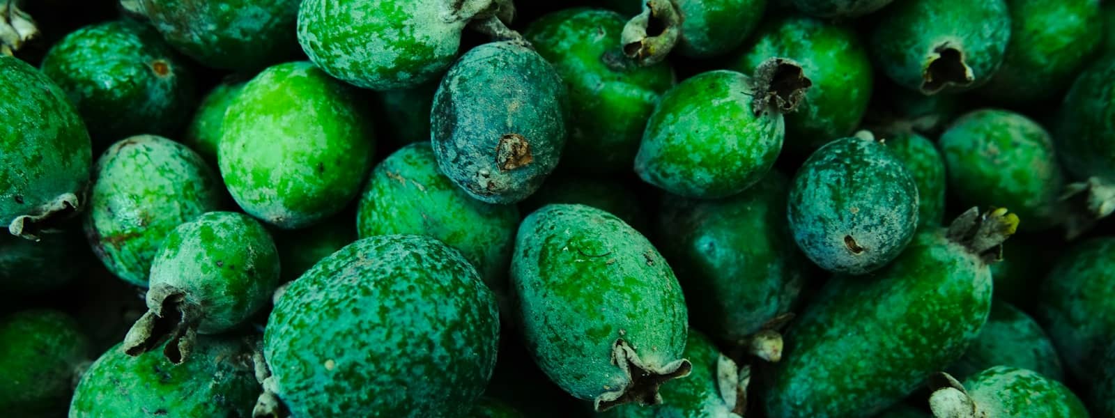 Feijoa : Propriétés et bienfaits