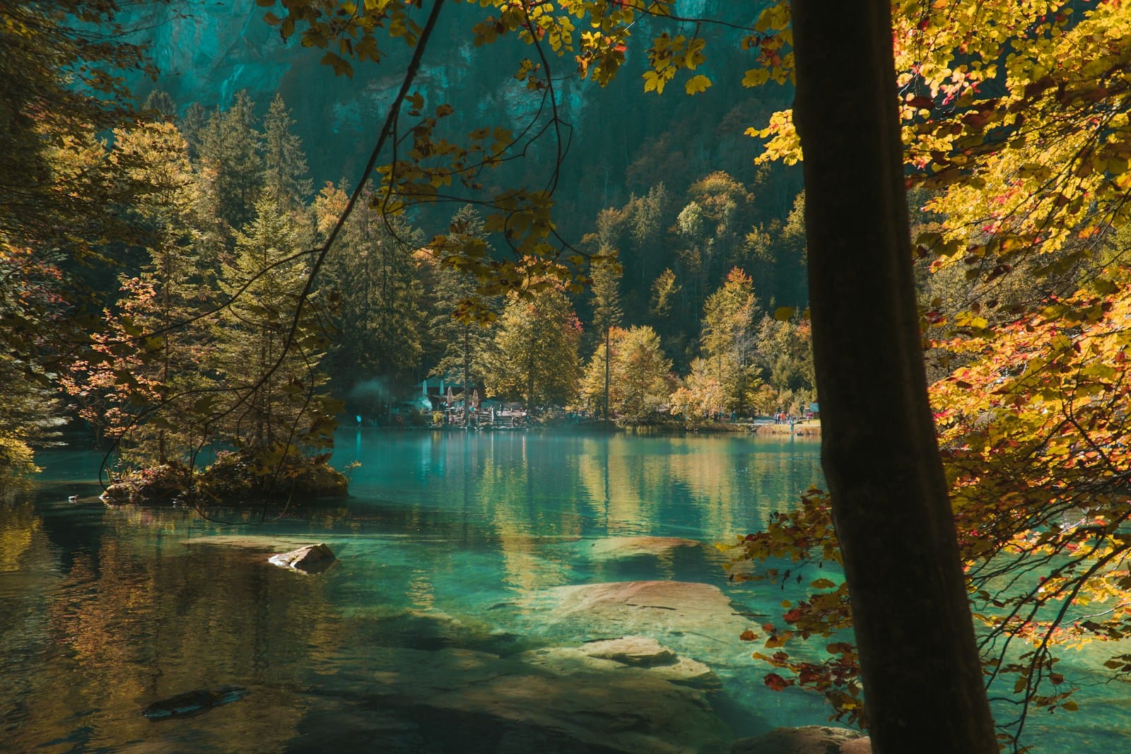 ressources naturelles