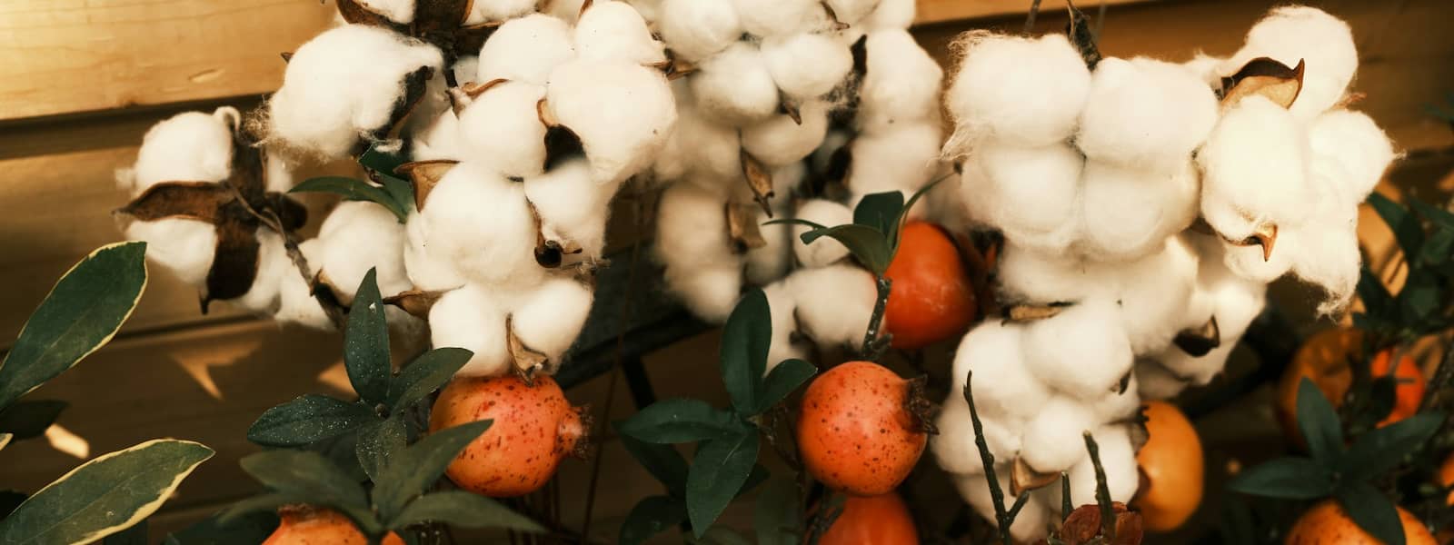 red and white round fruits