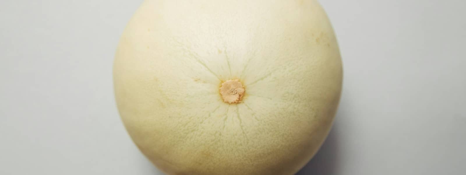 Melon Honeydew (melon blanc) : Propriétés et bienfaits
