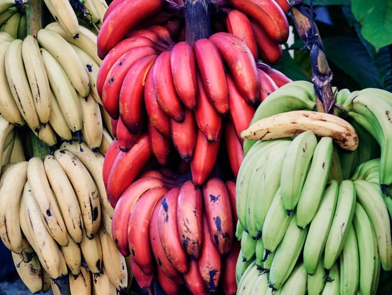 Banane : Propriétés et bienfaits